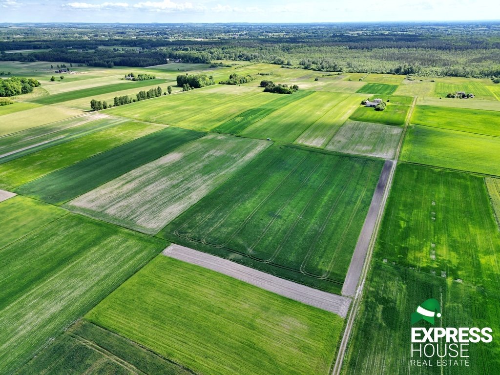 Działka rolna na sprzedaż Świerszczów  21 900m2 Foto 2