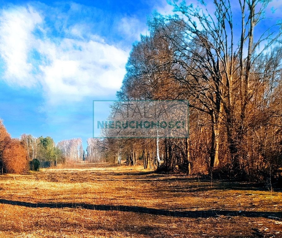 Na sprzedaż działka z lasem 11 950 m² w Makówce z potencjałem Makówka  11 950m2 Foto 1
