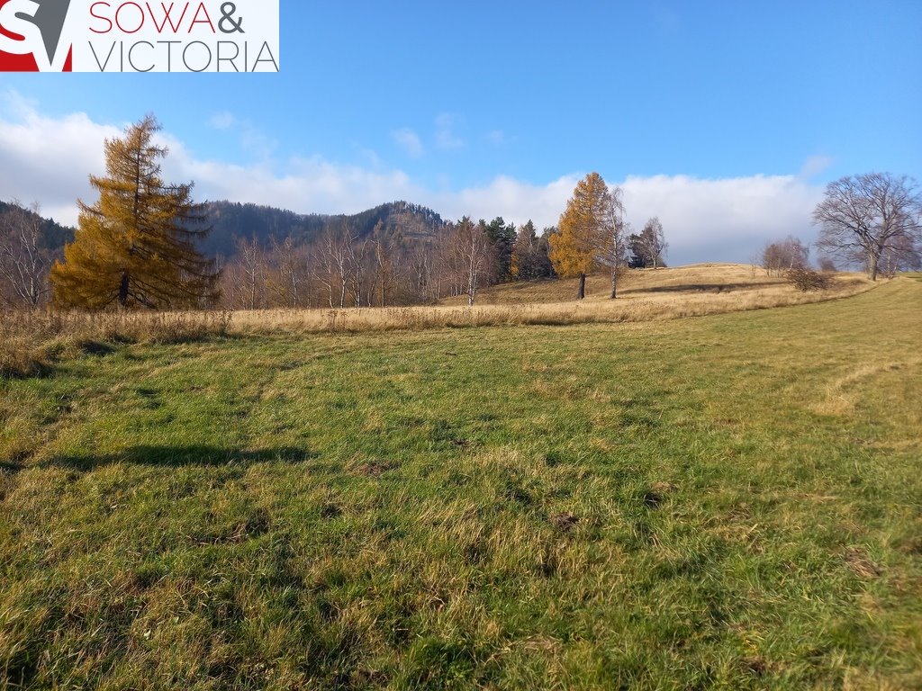 Działka budowlana na sprzedaż Jedlina-Zdrój  21 151m2 Foto 1