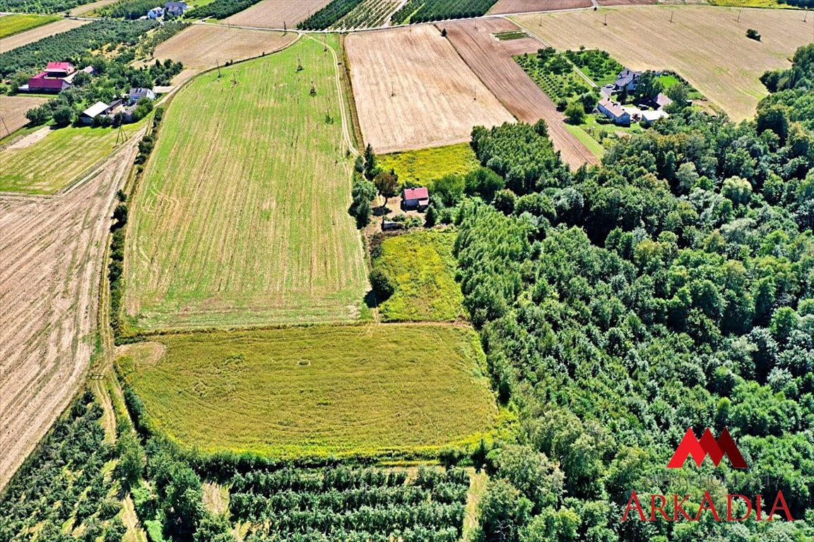 Działka budowlana na sprzedaż Dobrzyń nad Wisłą, Bachorzewo  3 099m2 Foto 6