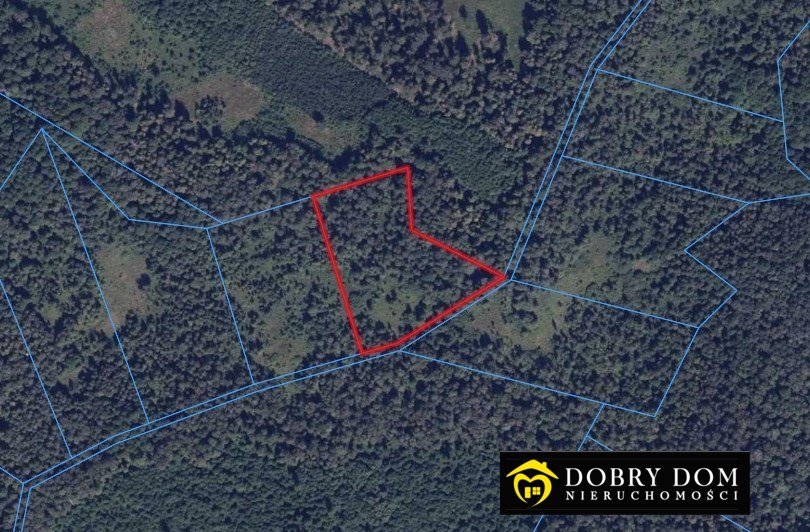 Las w Puszczy Augustowskiej 1,08 ha – inwestycja i relaks Gruszki  10 000m2 Foto 1