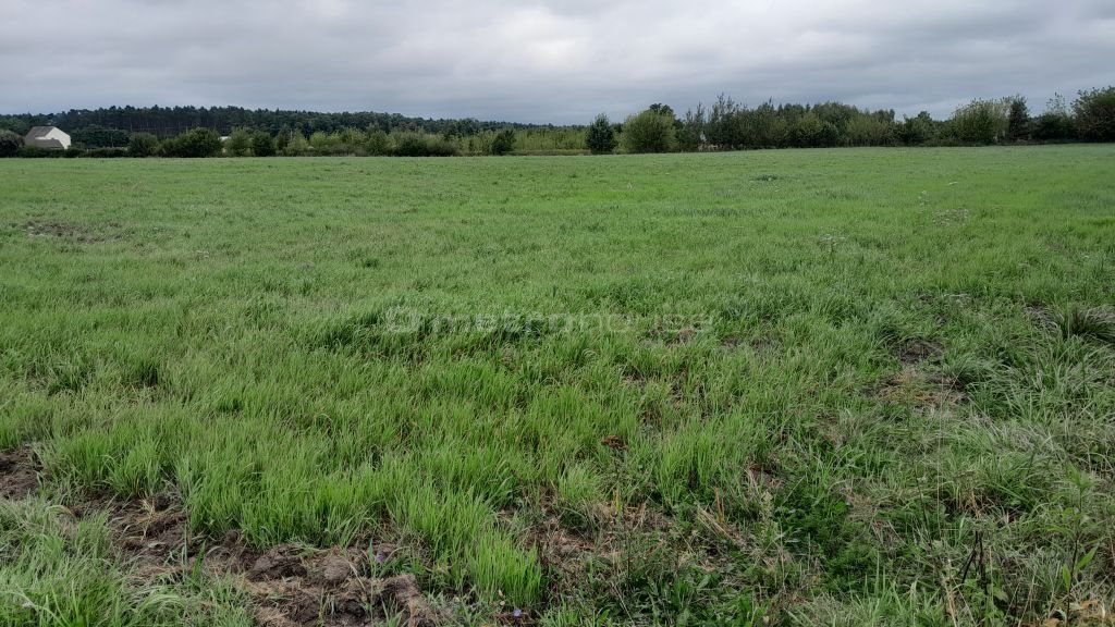 Działka inna na sprzedaż Podgórze-Parcele  1 150m2 Foto 3