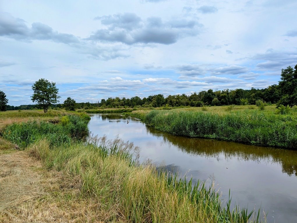 Działka rolna na sprzedaż Roszkowa Wola  15 400m2 Foto 5