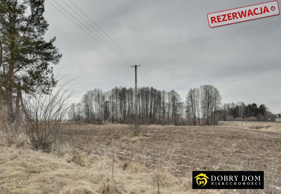 Działka rolna na sprzedaż Łozowo  117 800m2 Foto 3