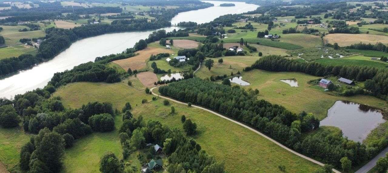 Działka rolna na sprzedaż Filipów  3 000m2 Foto 8