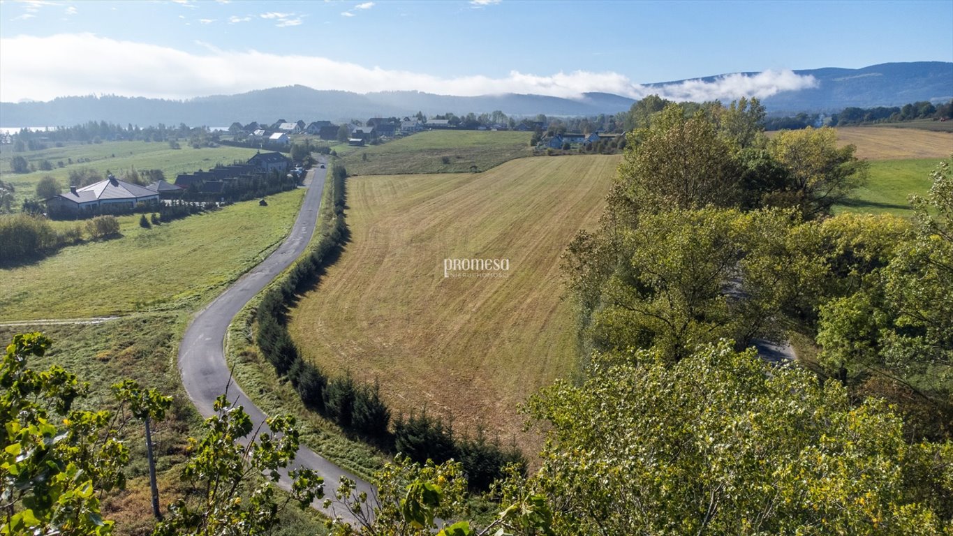 Działka budowlana na sprzedaż Miszkowice, Leśna  2 794m2 Foto 3