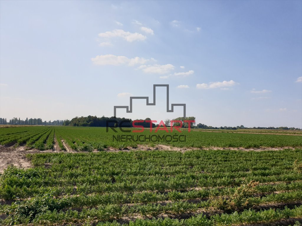 Działka rolna na sprzedaż Żuków  32 900m2 Foto 3