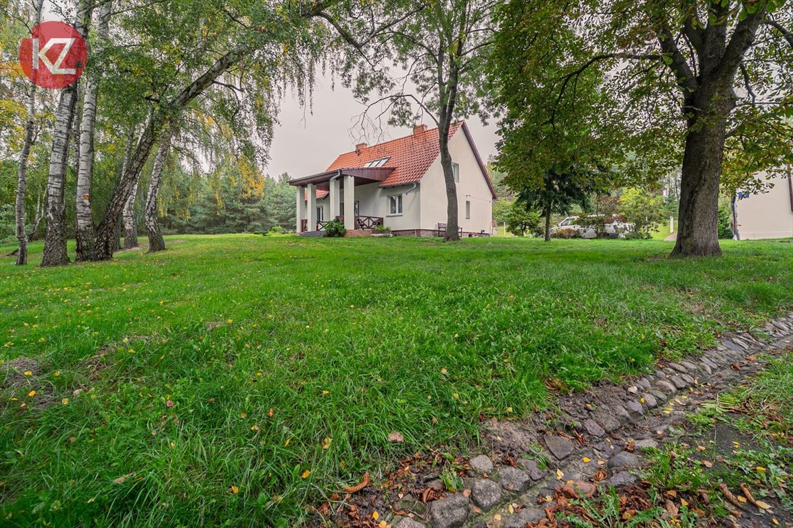 Lokal użytkowy na sprzedaż Wysoka Wielka  589m2 Foto 14