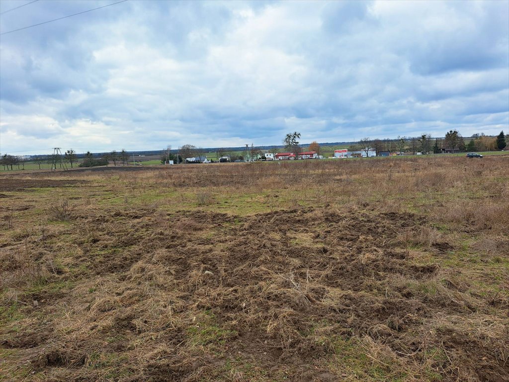 Działka przemysłowo-handlowa na sprzedaż Bolechowo, Bolechowo, Krańcowa  6 215m2 Foto 4