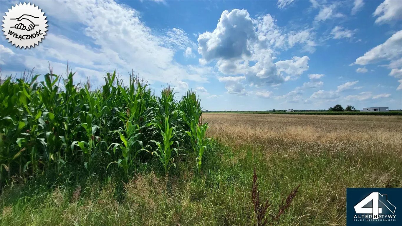 Działka budowlana na sprzedaż Bojszowy, Borowa 30  1 001m2 Foto 7