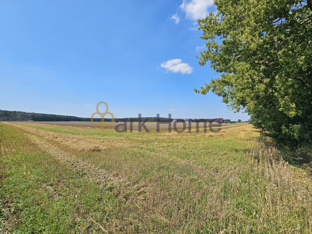 Działka budowlana na sprzedaż Kaleje  780m2 Foto 4