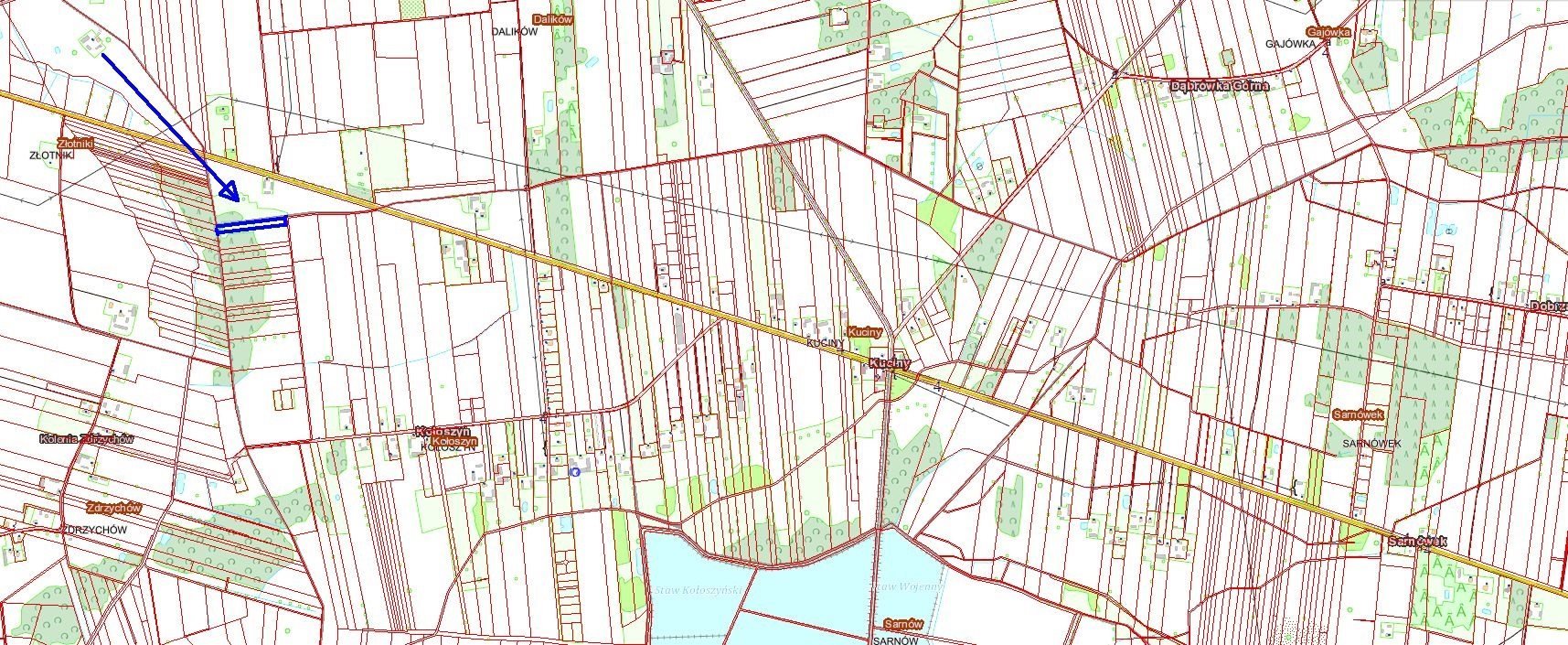 Działka rolna na sprzedaż Kałoszyn  4 310m2 Foto 5