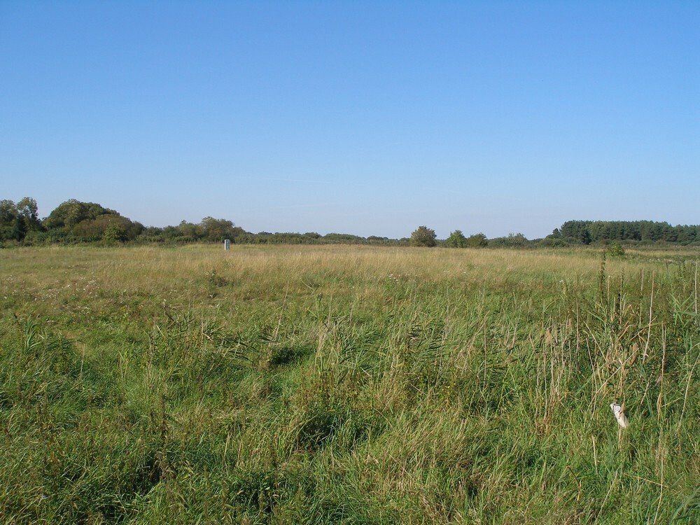 Działka budowlana na sprzedaż Czarna Łąka  1 500m2 Foto 6