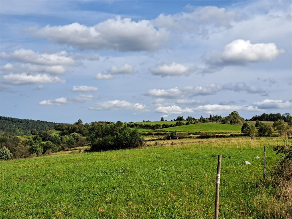 Działka rolna na sprzedaż Posada Jaśliska  9 900m2 Foto 12