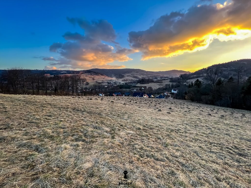 Działka budowlana na sprzedaż Skomielna Czarna  1 485m2 Foto 4