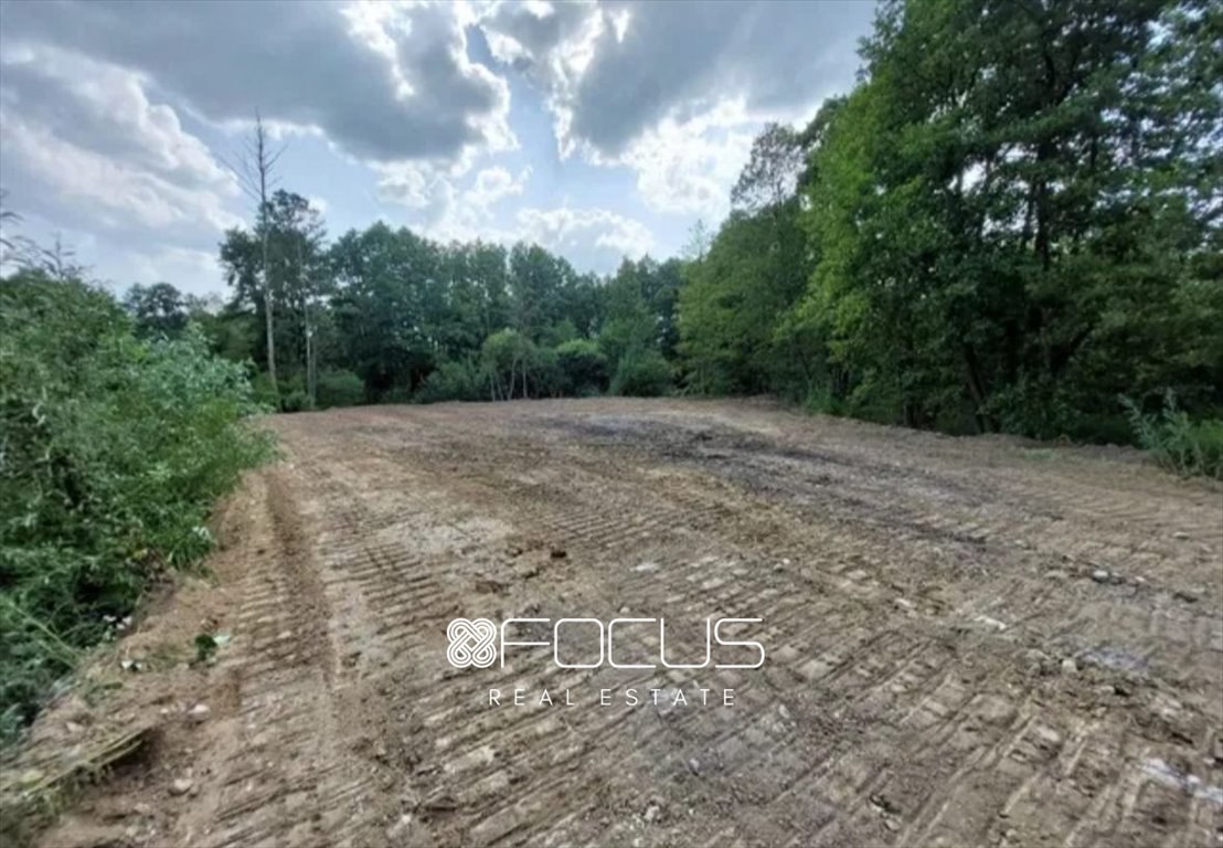 Działka leśna na sprzedaż Radziejowice  11 000m2 Foto 8