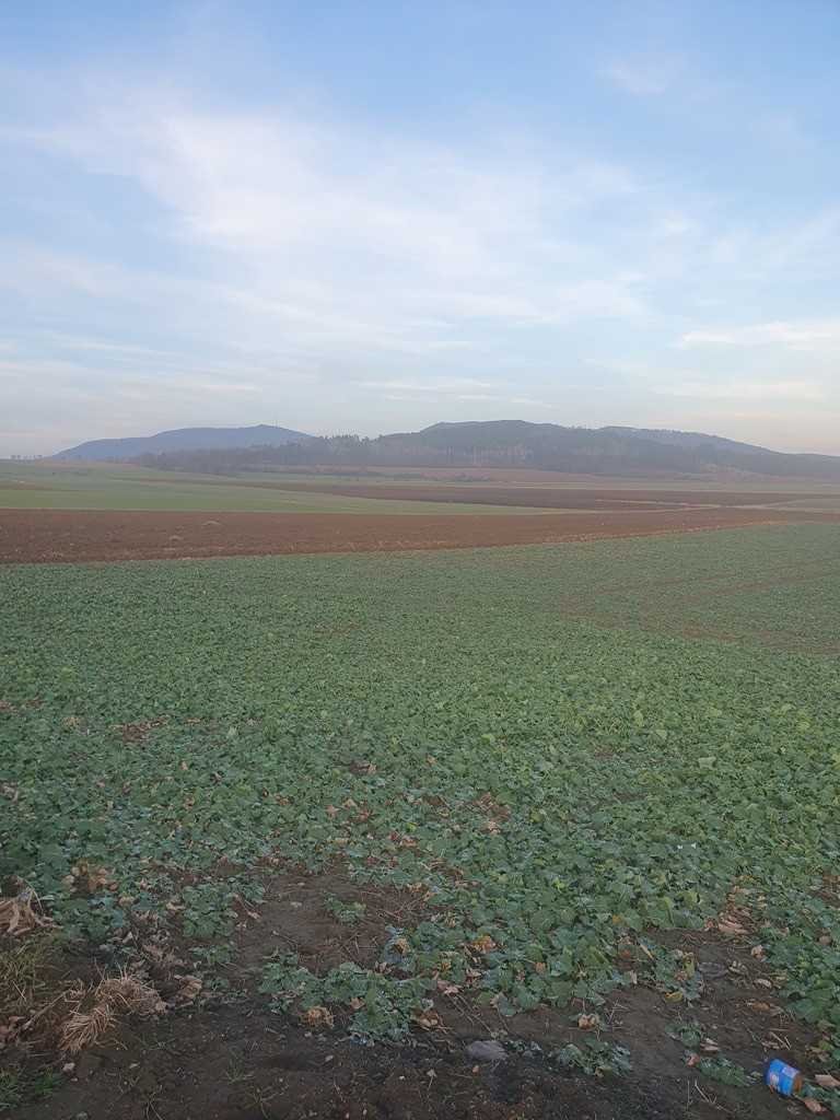 Działka inna na sprzedaż Łagiewniki, Jaźwina  25 500m2 Foto 2