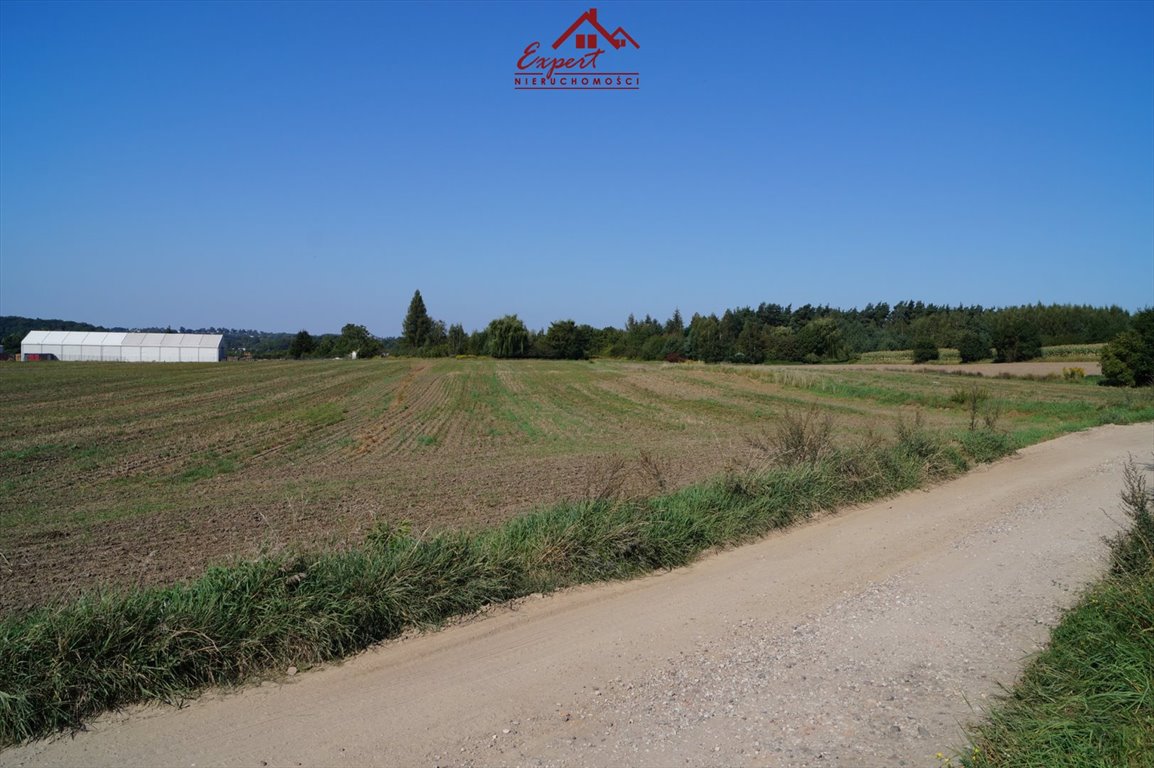 Działka inwestycyjna na sprzedaż Nowe Miasto Lubawskie, Nowe Miasto Lubawskie  17 453m2 Foto 3