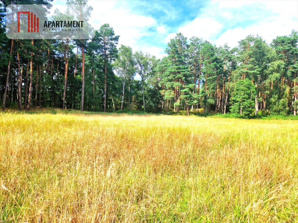 Działka gospodarstwo rolne na sprzedaż Biała  3 100m2 Foto 7