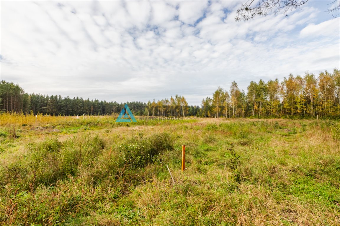 Działka budowlana na sprzedaż Kowalewo  1 013m2 Foto 8