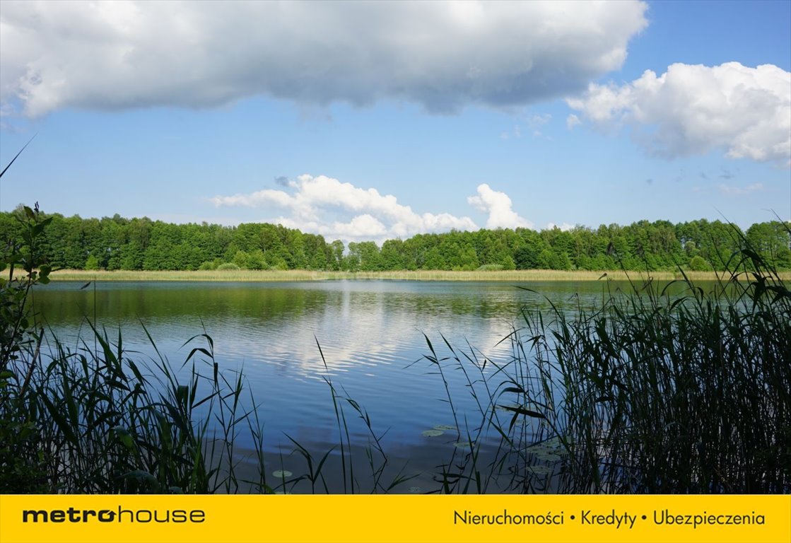 Działka rolna na sprzedaż Wielki Mędromierz  80 000m2 Foto 4