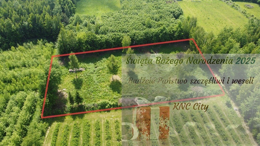 Działka budowlana na sprzedaż Kazimierz Dolny, Jeziorszczyzna  3 580m2 Foto 1