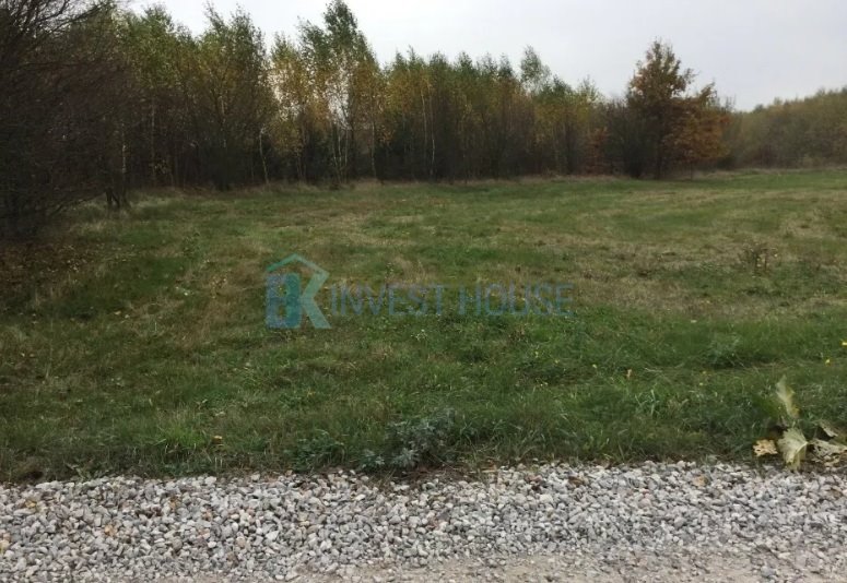 Działka rolna na sprzedaż Michrów-Stefów  9 300m2 Foto 4