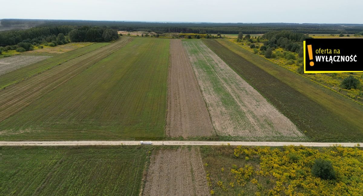 Działka rolna na sprzedaż Celiny  13 633m2 Foto 3