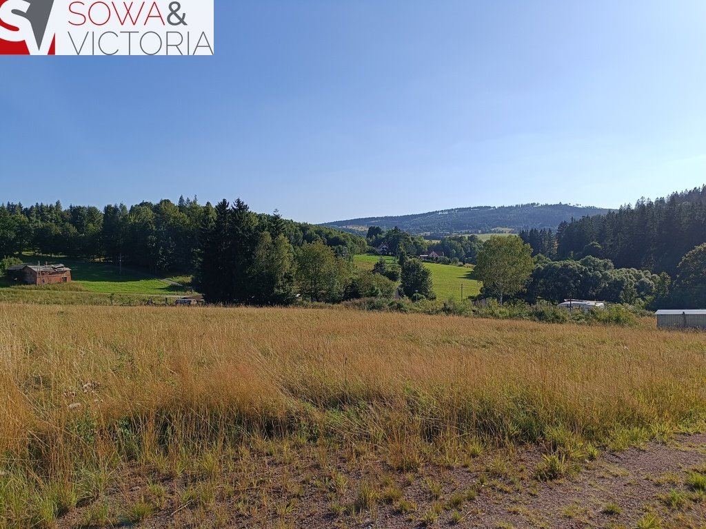 Zapraszam do zakupu działek z widokami i prądem w Bartnicy Bartnica  1 641m2 Foto 1