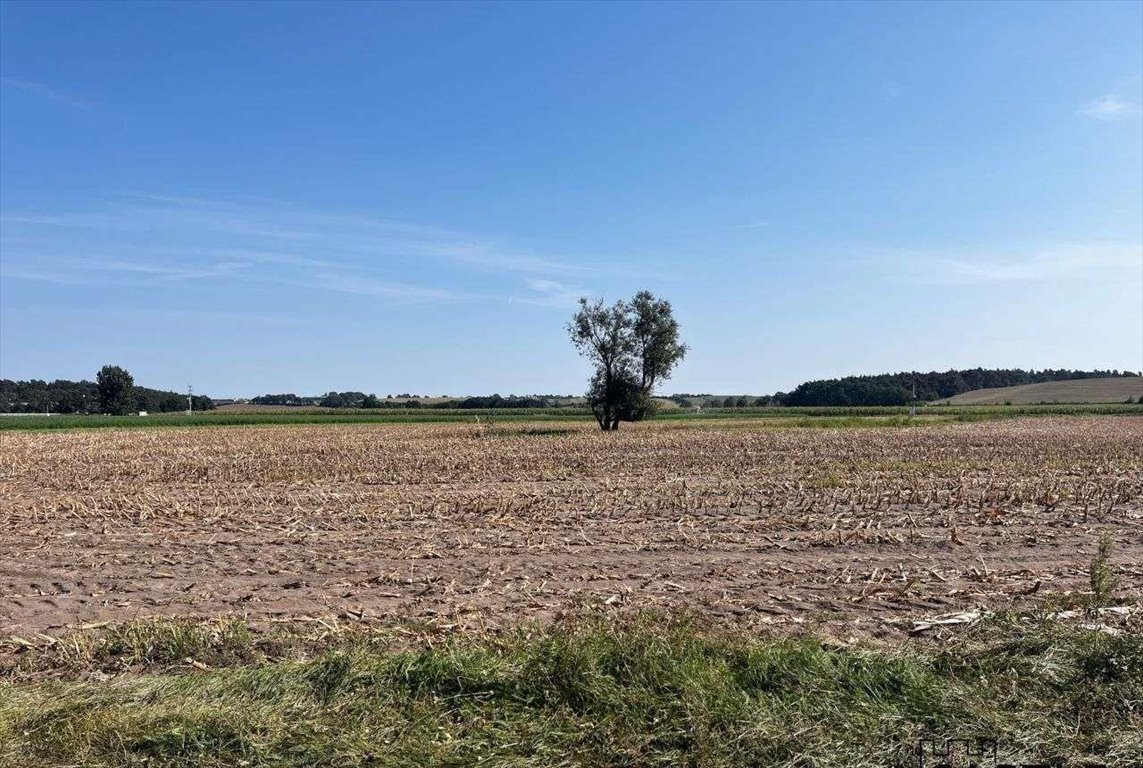 Działka budowlana na sprzedaż Gostyń  56 000m2 Foto 7