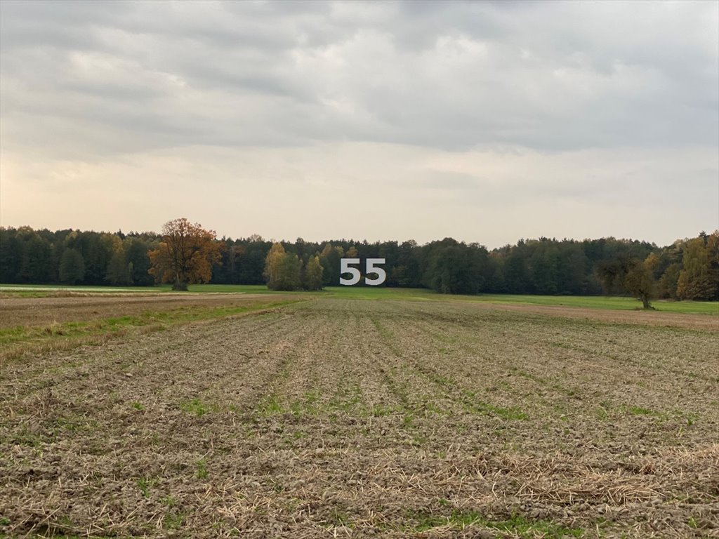 Działka siedliskowa na sprzedaż Ślądkowice  12 900m2 Foto 4