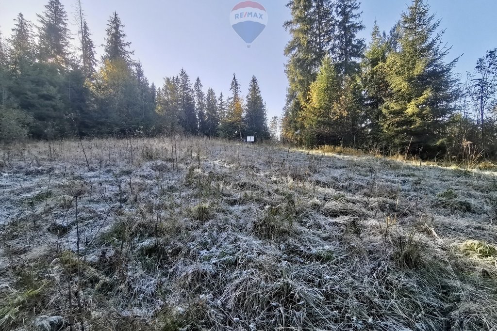 Działka leśna na sprzedaż Poronin  1 720m2 Foto 9