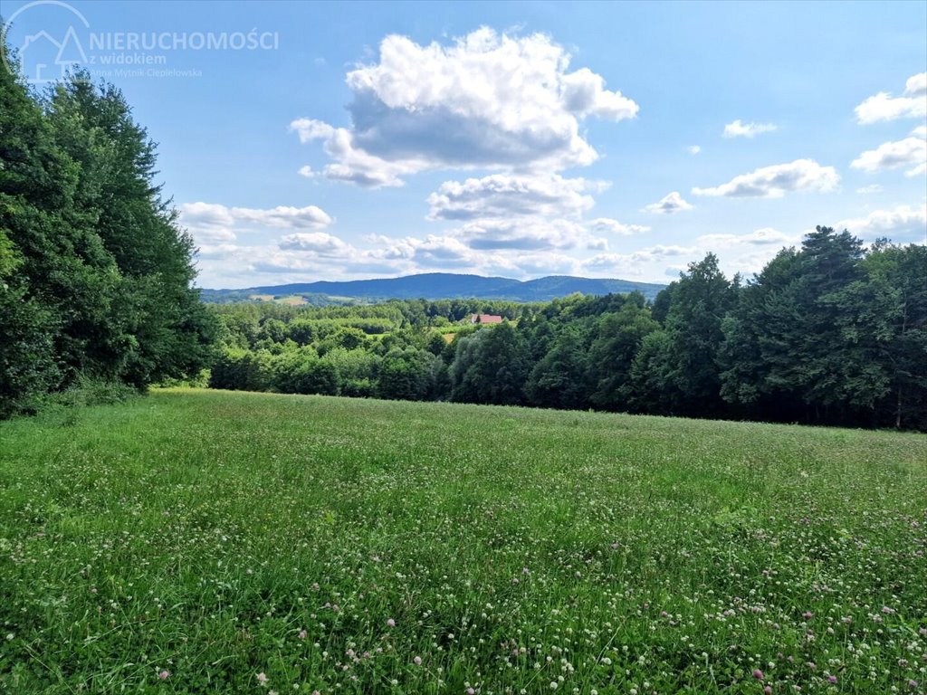 Działka budowlana na sprzedaż Błażkowa  2 559m2 Foto 8