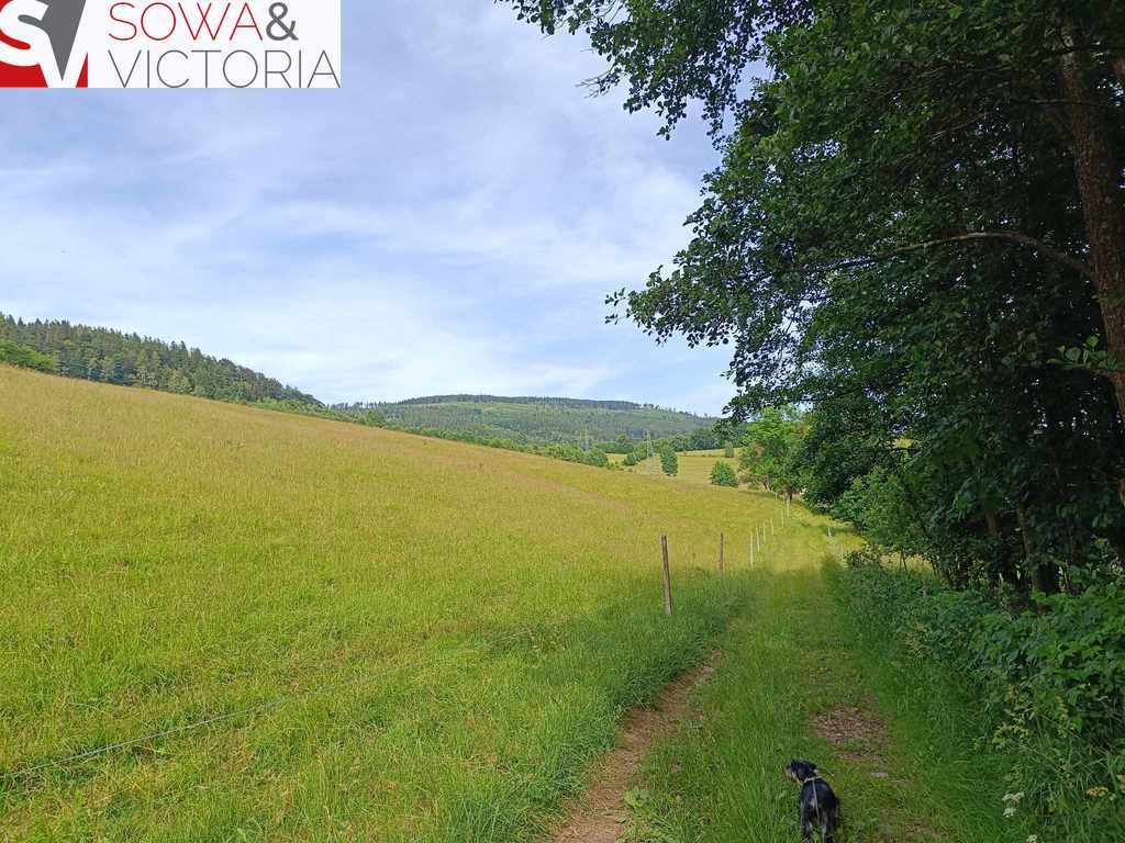 Działka inna na sprzedaż Ludwikowice Kłodzkie  4 000m2 Foto 1