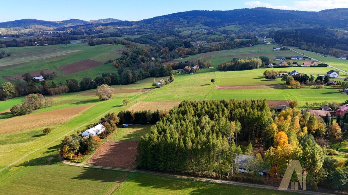 Działka budowlana na sprzedaż Polna  1 823m2 Foto 10