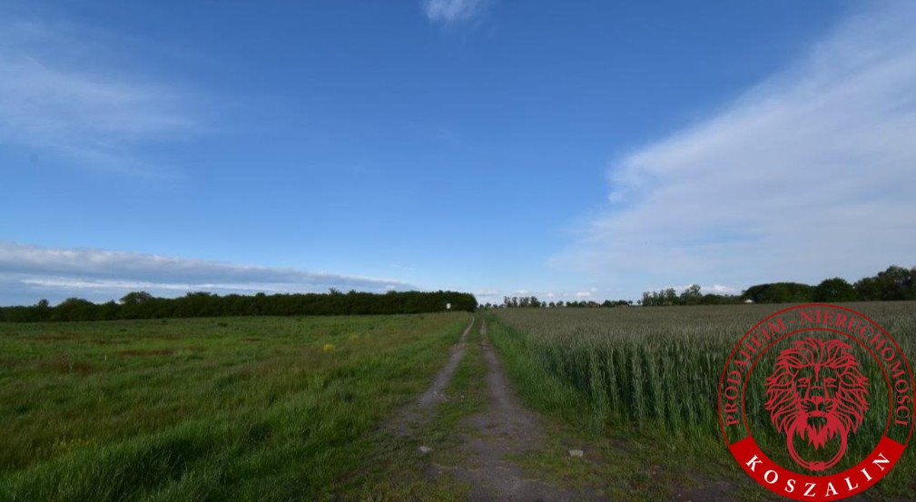 Działka budowlana na sprzedaż Koszalin, Jamno-Łabusz  800m2 Foto 2