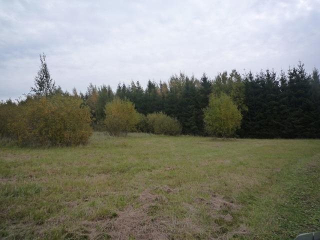 Działka z widokiem na jezioro, 5,8 ha, prąd, kanalizacja Zatyki  58 000m2 Foto 1