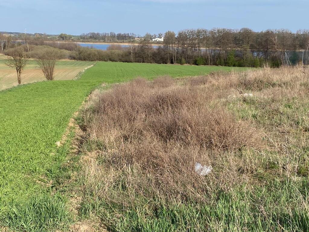 Działka nad jeziorem Niedzięgiel z widokiem na najpiękniejszą panoramę Wiekowo  849m2 Foto 1