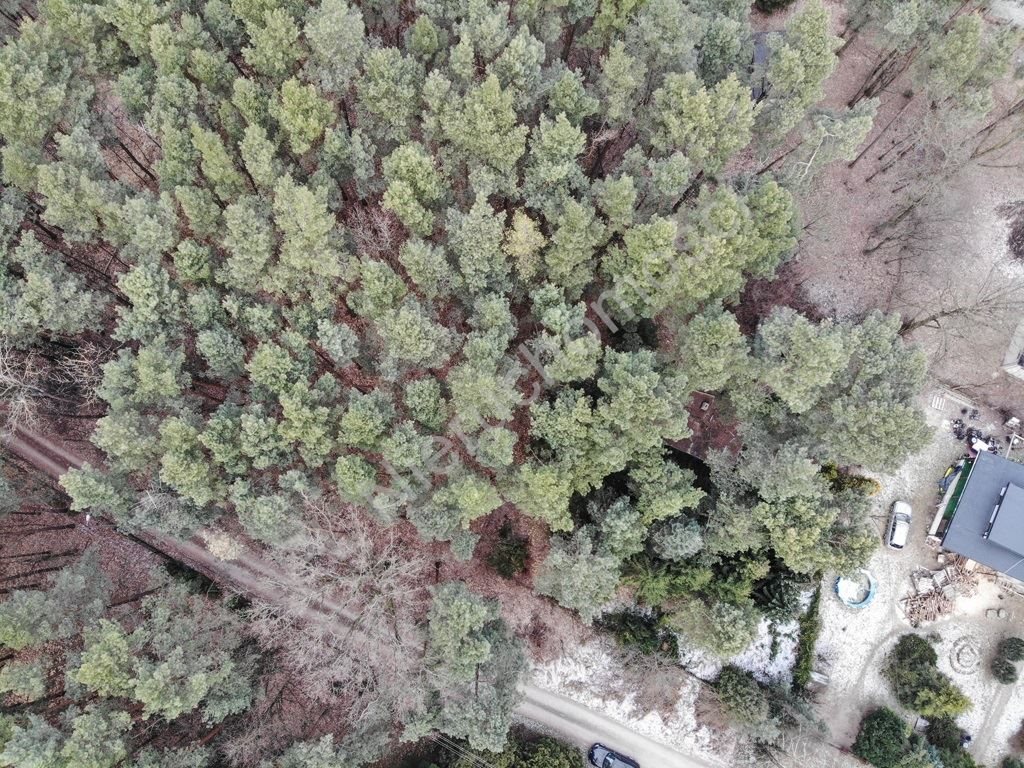 Działka leśna na sprzedaż Siestrzeń  1 095m2 Foto 3