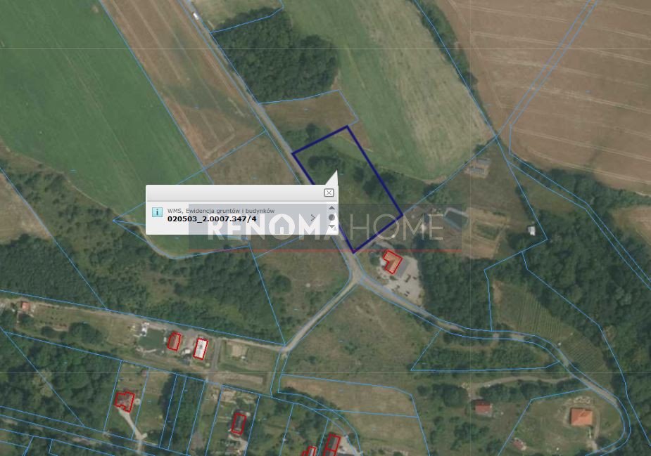 Duża działka inwestycyjna 2,7 ha z możliwością zabudowy Myślinów  47 000m2 Foto 1