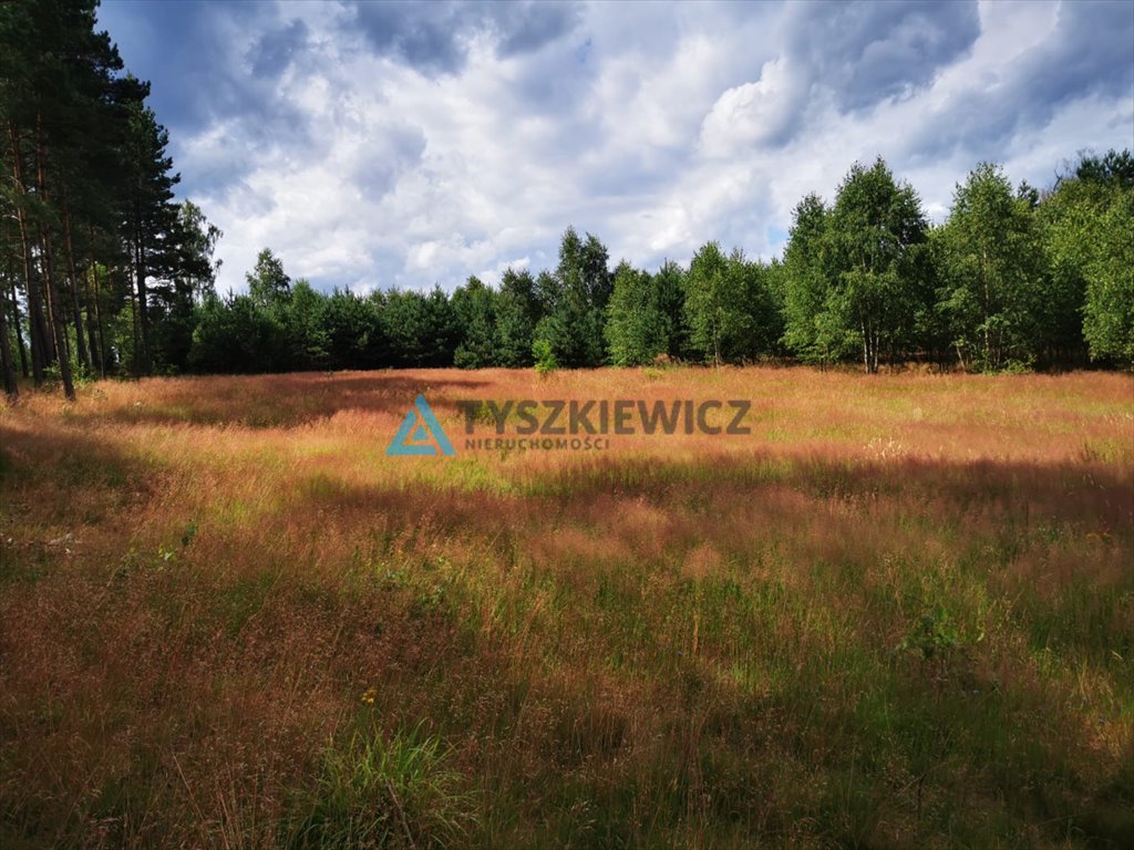 Działka przemysłowo-handlowa na sprzedaż Wygonin  1 998m2 Foto 3