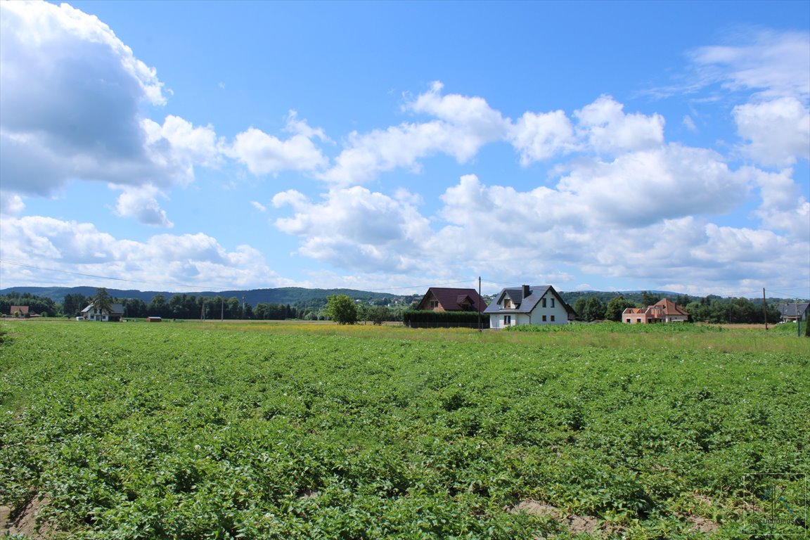 Działka budowlana na sprzedaż Winiary  10 200m2 Foto 5