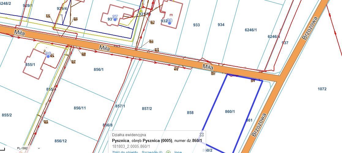Działka budowlana na sprzedaż Pysznica, Jasna Polana, Miła  1 136m2 Foto 10