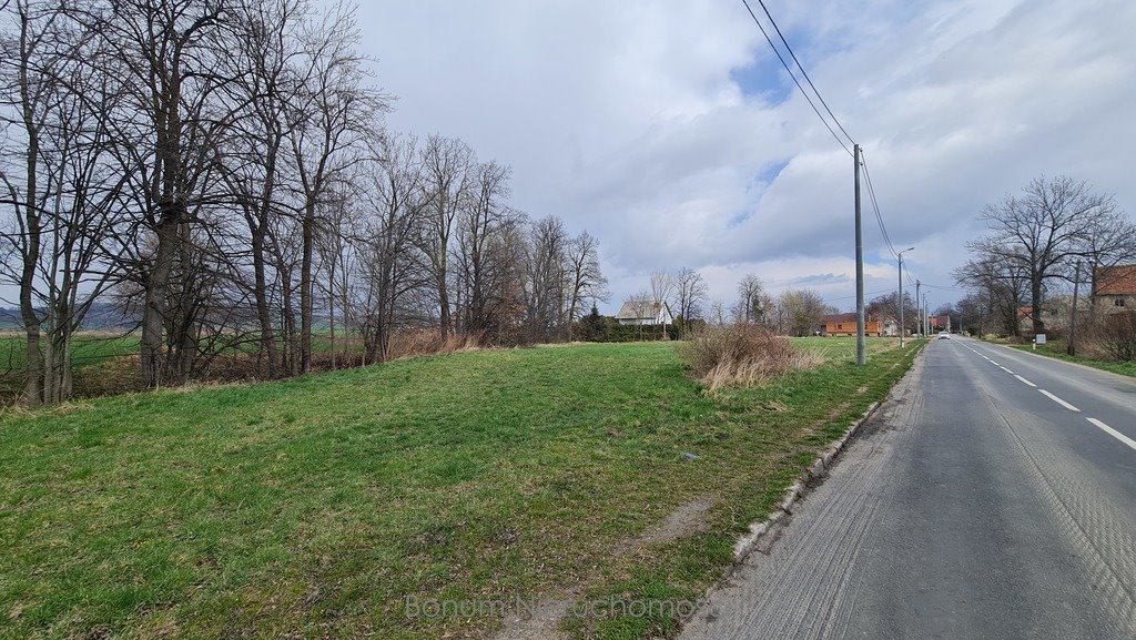 Działka budowlana na sprzedaż Stoszowice  4 400m2 Foto 1