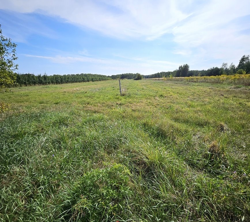 Działka rolna na sprzedaż Prace Małe, Polna  27 892m2 Foto 3