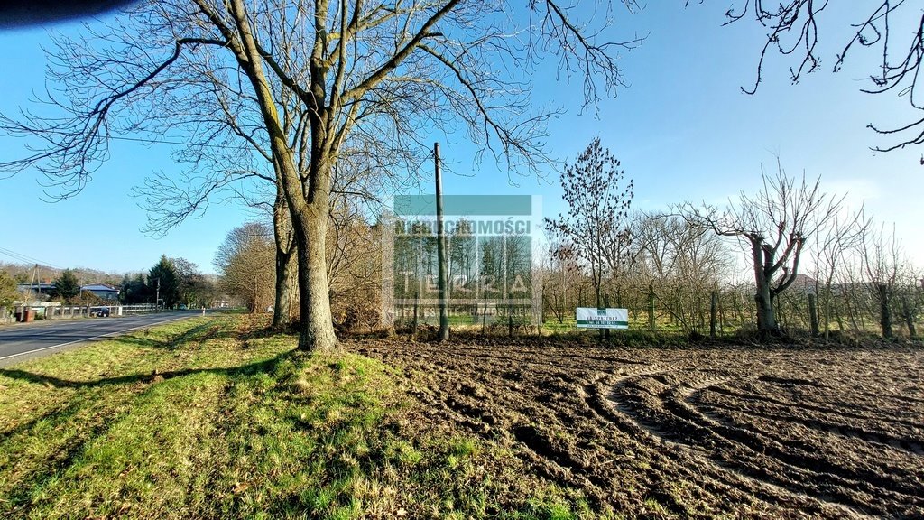 Działki budowlane w Krośnie Odrzańskim, uzbrojone, 1036-1993 m2 Krosno Odrzańskie  1 036m2 Foto 1