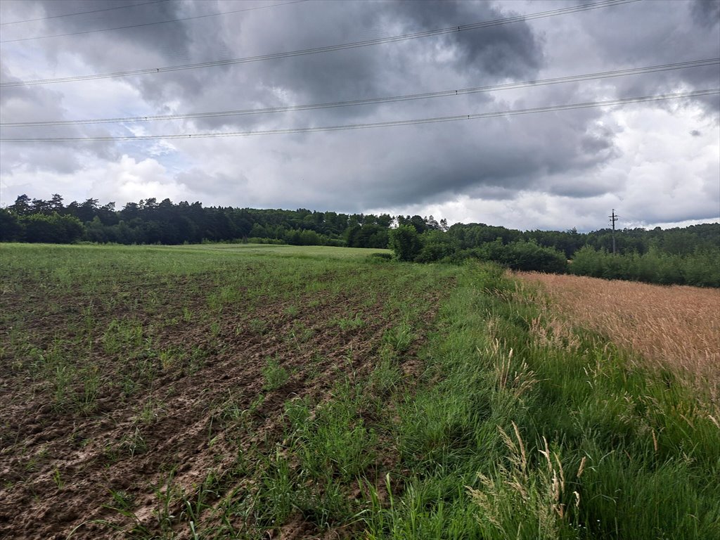 Działka rolna na sprzedaż Sieklówka  8 575m2 Foto 14