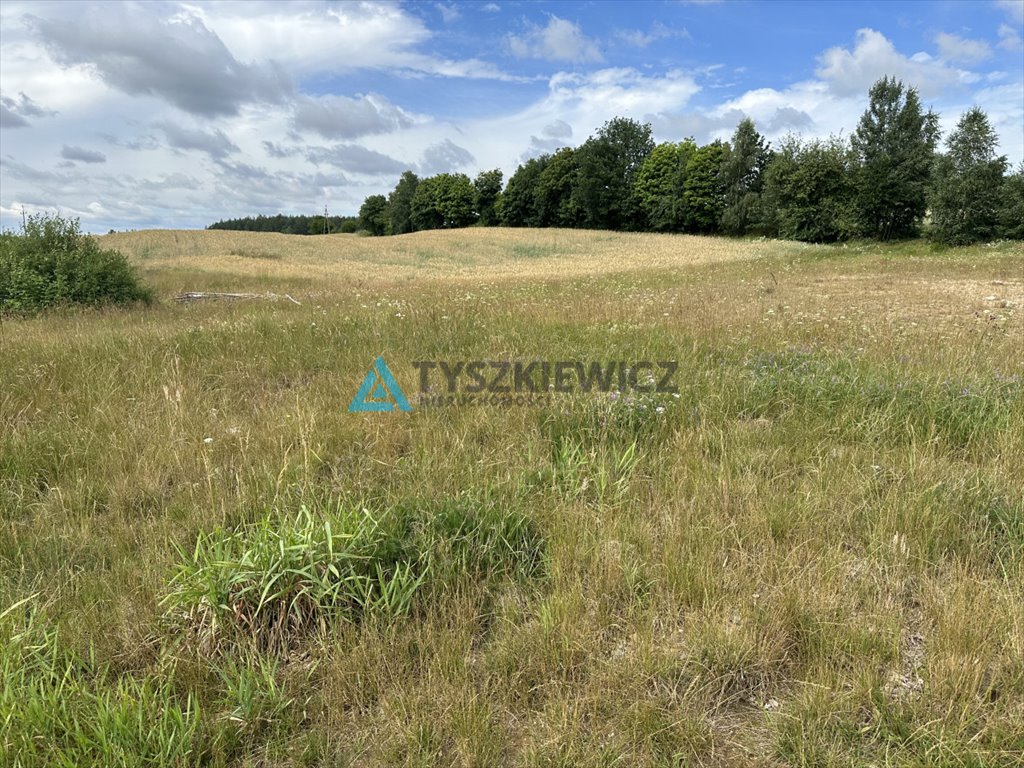 Działka rekreacyjna na sprzedaż Grabówko  1 450m2 Foto 5