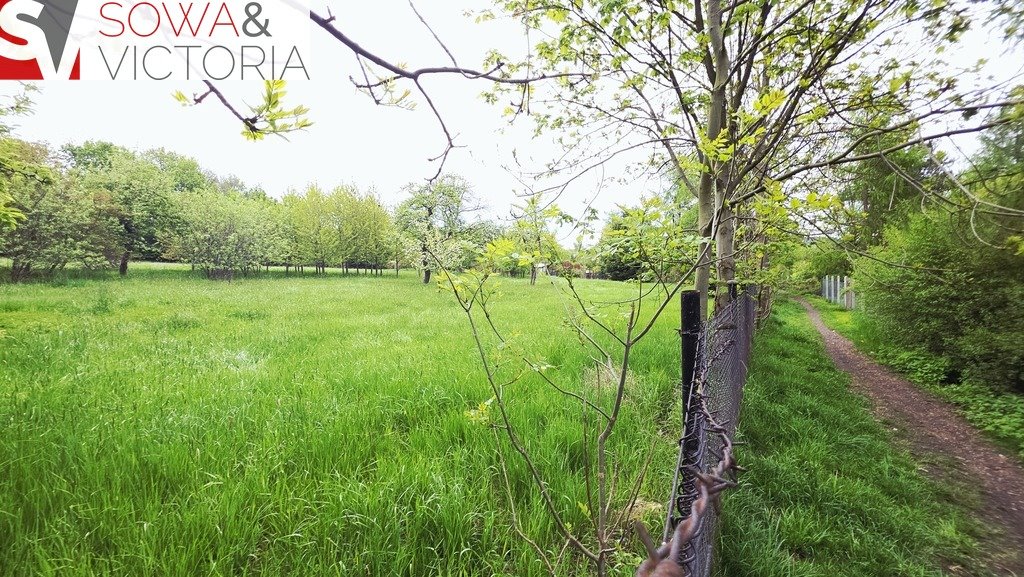 Sprzedam działkę 5850 m² pod zabudowę wielorodzinną i usługową Boguszów-Gorce  5 850m2 Foto 1
