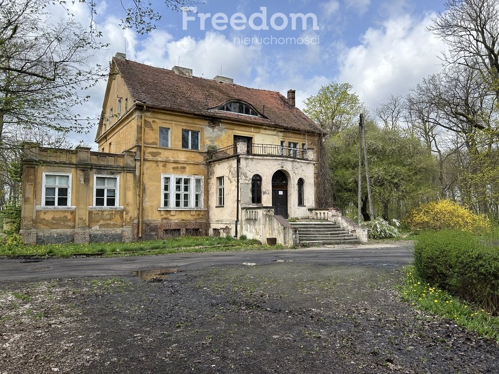 Dom na sprzedaż Kostrzyn  500m2 Foto 6